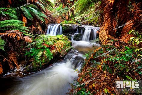Beautiful Waterfall In Green Rainforest New Zealand Stock Photo
