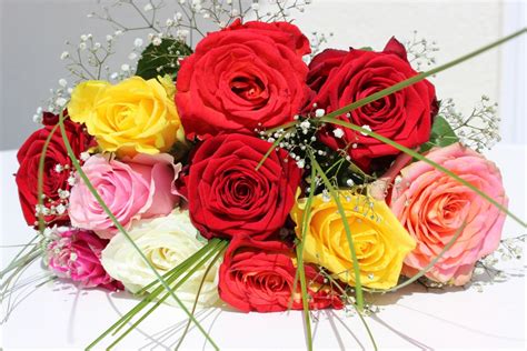 Images Gratuites Fleur Pétale Amour Des Roses Bouquet De Fleurs
