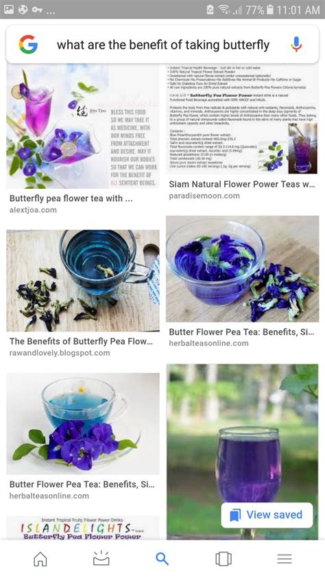 Its asian origins are responsible for it being identified as asian pigeon the list of benefits mentioned above and exploited by ayurveda is not exhaustive. luthfiannisahay: What Are The Benefits Of Butterfly Pea ...