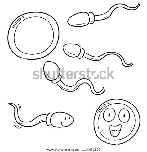 Vector Set Sperm Egg Stock Vector Royalty Free 1114431533 Shutterstock