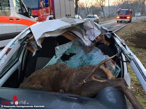 588 105 tykkäystä · 5 375 puhuu tästä. Deutschland: 250 kg Hirsch landet bei Unfall in Pkw ...