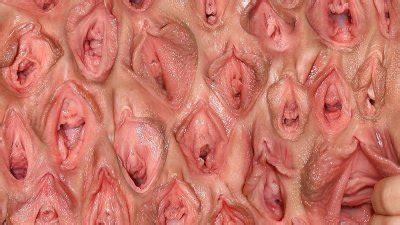 Pussy Lips Labia Vulva Hot Sex Picture