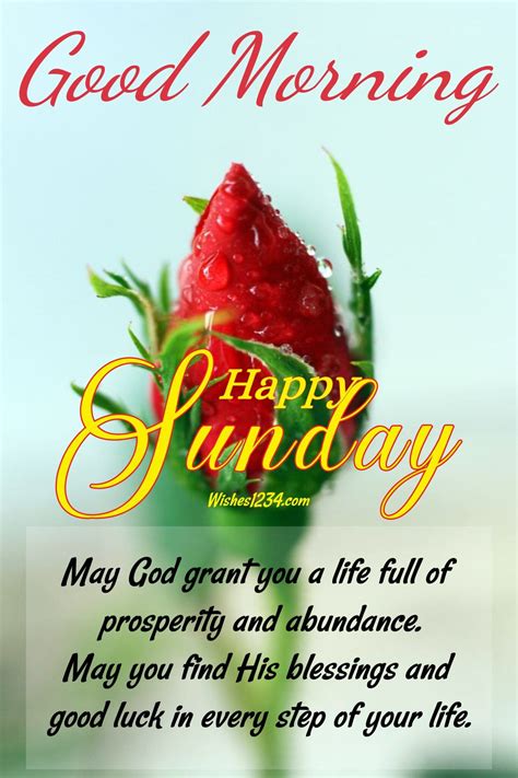 150+ Sunday blessings quotes, images, and short prayers | Happy sunday