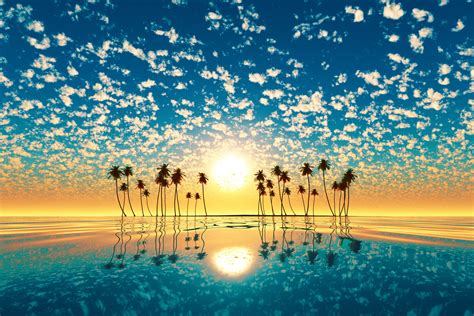 Palm Trees Reflection Sunset Wallpaper, HD Nature 4K Wallpapers, Images ...