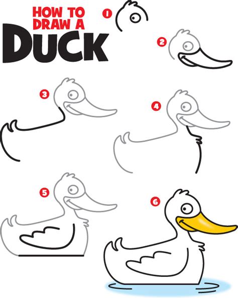 How To Draw A Duck Kid Scoop