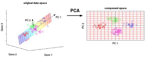 Pdf Penerapan Metode Principal Component Analysis Pca Untuk My Xxx