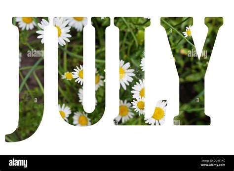 Word July Made Of Flowers Nature Background Summer Months Stock Photo