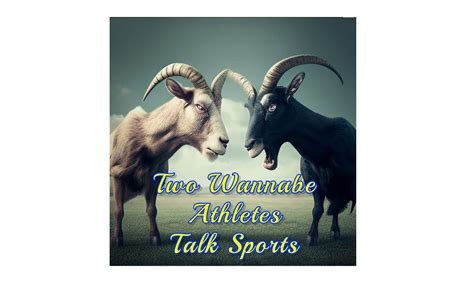 two wannabe athletes talk sports houston tx