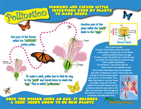 Pollinator Works Kids Growing Strong
