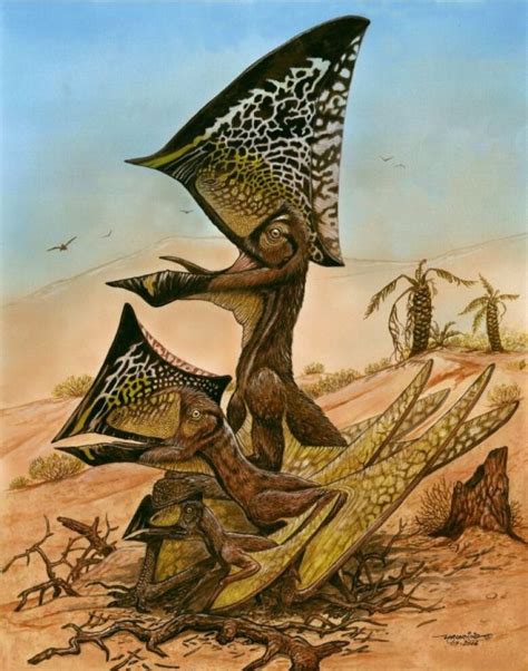 New Pterosaur Species Discovered At Fossil Colony In Brazil Cbc News