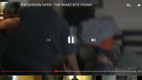Angry Grandpa The Gaboon Viper Snake Bite Prank Reaction Pt1 Youtube