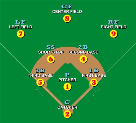 A Brief Insight Into Different Baseball Field Positions