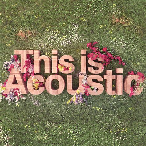 This Is Acoustic Compilation By Various Artists Spotify