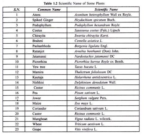 Examples Of Plants And Their Scientific Names Octopussgardencafe