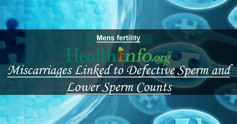 Miscarriages Linked To Defective Sperm And Lower Sperm Counts Health