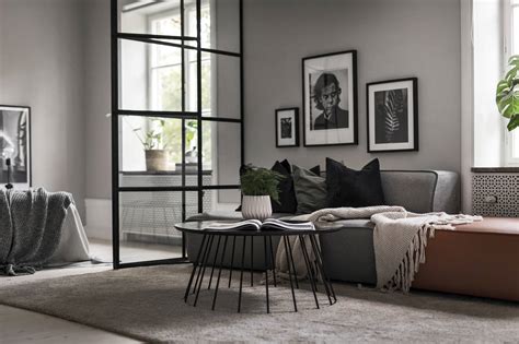 Kitchen Living Room And Bedroom In One Coco Lapine