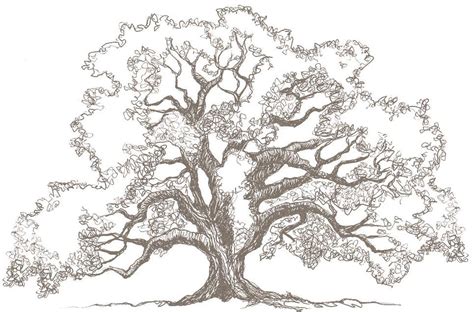 How to draw tree planting scene. The Sketch Book tagged "tree" | Inslee By Design