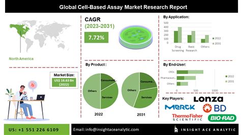 Cell Based Assay Market Scope And Growth Drivers Analysis