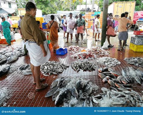 Local Fish Market In Small Remote Village In Kerala Editorial