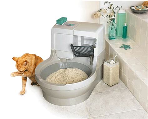 Reduce Your Cats Carbon Paw Print With Catgenies Self Flushing Litter