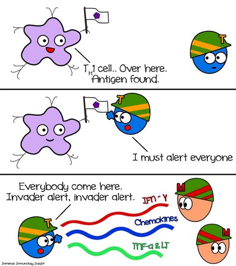 61 best immunology humor images on pinterest insight comic books and comics