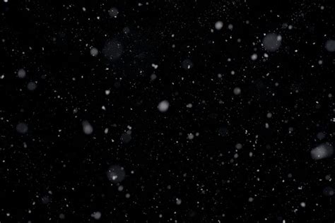 Free Snow Overlays Snow Overlay Overlays Green Screen Images