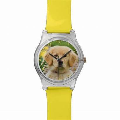 Retriever Golden Daffodils Yellow Dog Monitorwatches