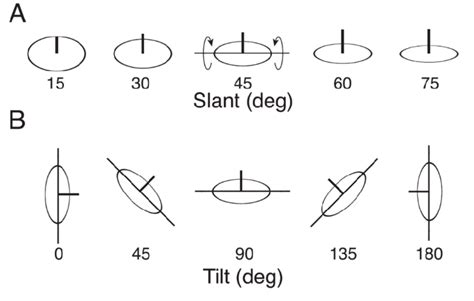 Definition Of Slant And Tilt A Slant Is The Angle Between The Surface Download Scientific