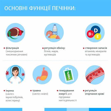 Заболевание печени симптомы диета Заболевание печени симптомы диета