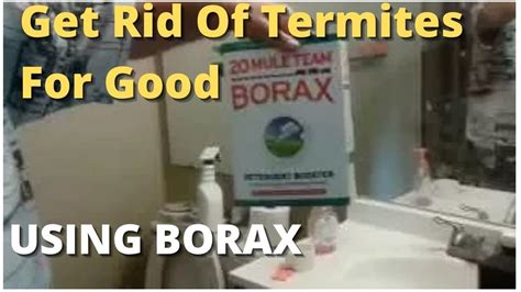 How To Get Rid Of Termites For Good Using Borax Best Solution Do It