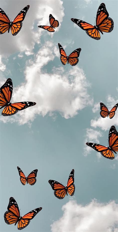 Aesthetic Purple Monarch Butterflies Wallpaper Download Mobcup