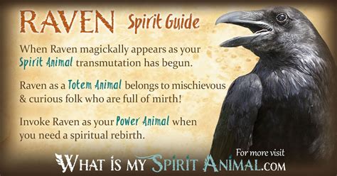 Dream moods is the only free online source you need to discover the meanings to your dreams. Raven Symbolism & Meaning | Spirit, Totem & Power Animal