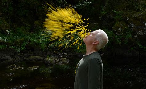 Andy Goldsworthys Ephemeral Art And Laborious Process In A New