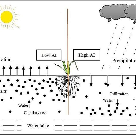 Classification Of Water On The Basis Of Salinity Levels Classes Of