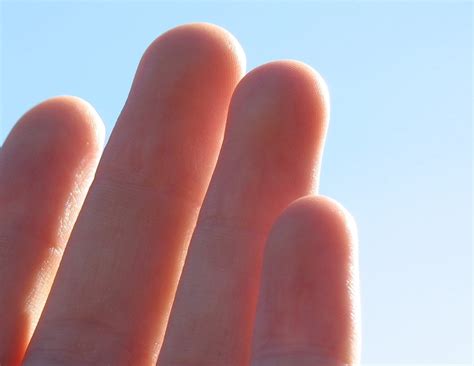 Fingertips Free Photo Download Freeimages