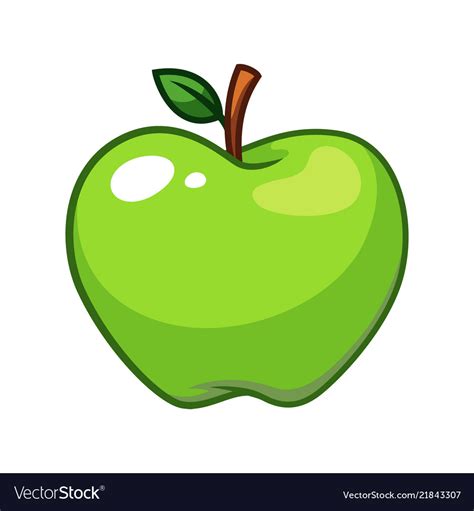 Green Apple Fruit Royalty Free Vector Image Vectorstock