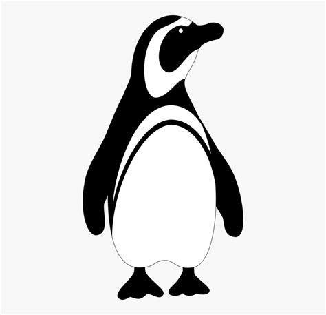 Penguin Bird Vector Penguin Clipart Black And White HD Png Download Transparent Png Image