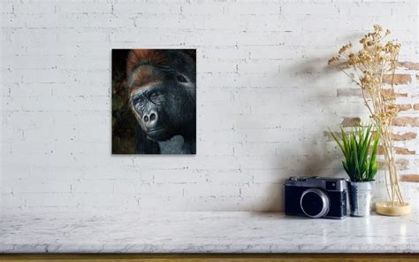 Lowland Gorilla Painting Poster By David Stribbling