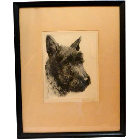 Vintage Scottish Terrier Dog Portrait Signed Kurt Meyer Eberhardt Dog
