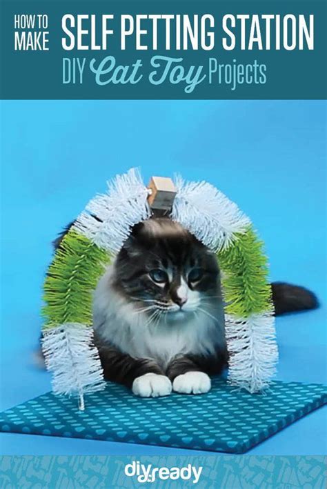 Diy Cat Toy Self Petting Station Cat Diy Cat Toys Diy Cat Toys