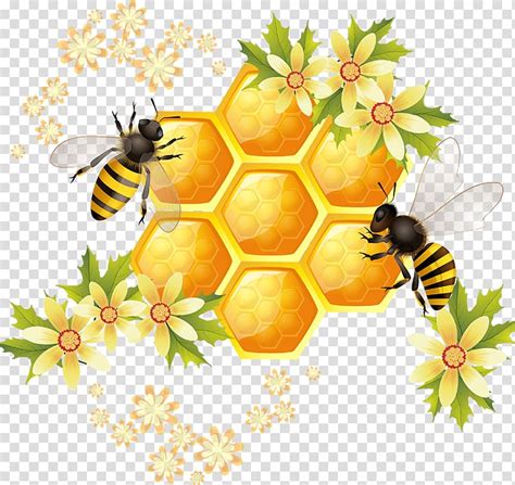 Honeycomb Surrounded By Bees Illustration Honey Bee Honeycomb Illustration Bee Transparent