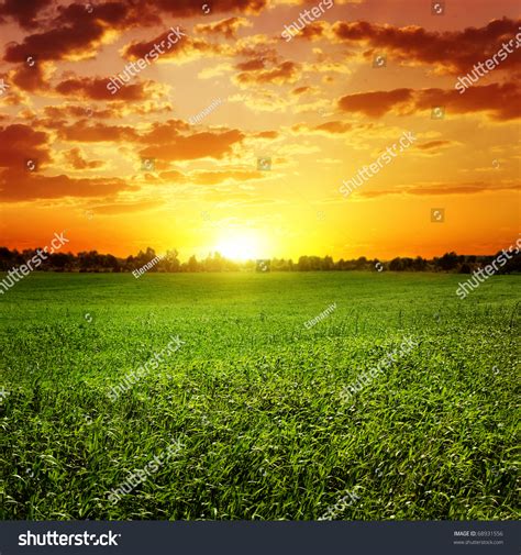 Field Grass Colorful Sunset Stock Photo 68931556 Shutterstock