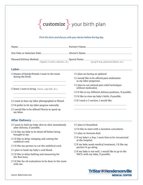 Birth Plan Template Free Editable Printable Templates