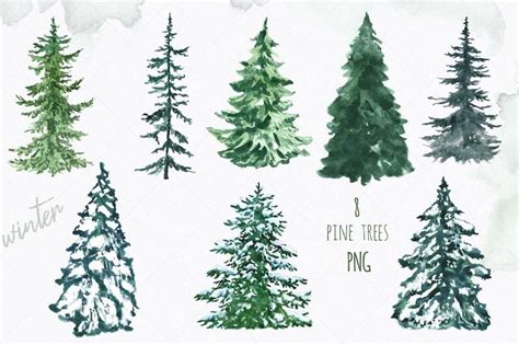 Watercolor Christmas Pine Tree Clip Art Conifer Spruce Forest Snowy
