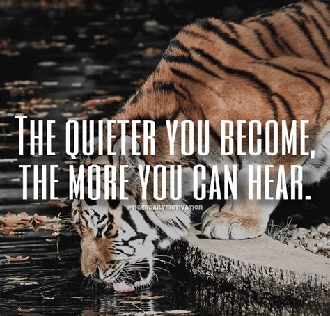 Tiger Motivational Quotes 🐯 On Instagram Do You Agree 👍🏼 Tag