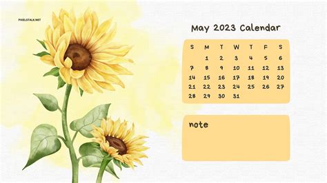 May 2023 Calendar Wallpapers Hd Free Download Pixelstalknet