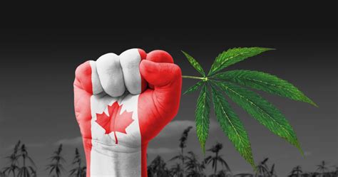 Canada On The Way To Legalising Cannabis