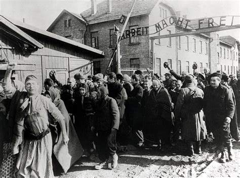 working class history on twitter otd 27 jan 1945 the red army liberated the auschwitz
