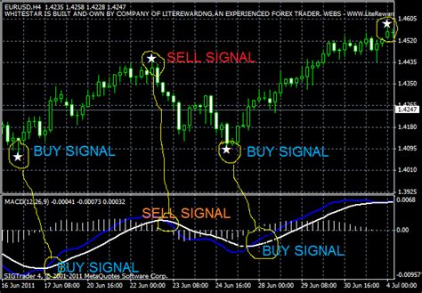 Indicators Of Forex Market Forex Trading Lessons