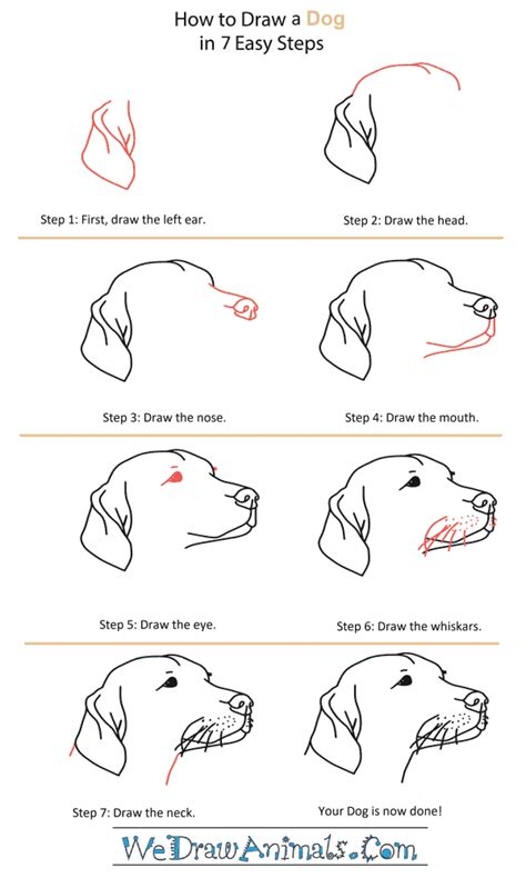 How To Draw A Dog Head Step By Step However You Can Use A Similar